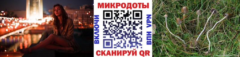 как найти наркотики  Озёрск  Галлюциногенные грибы мухоморы 